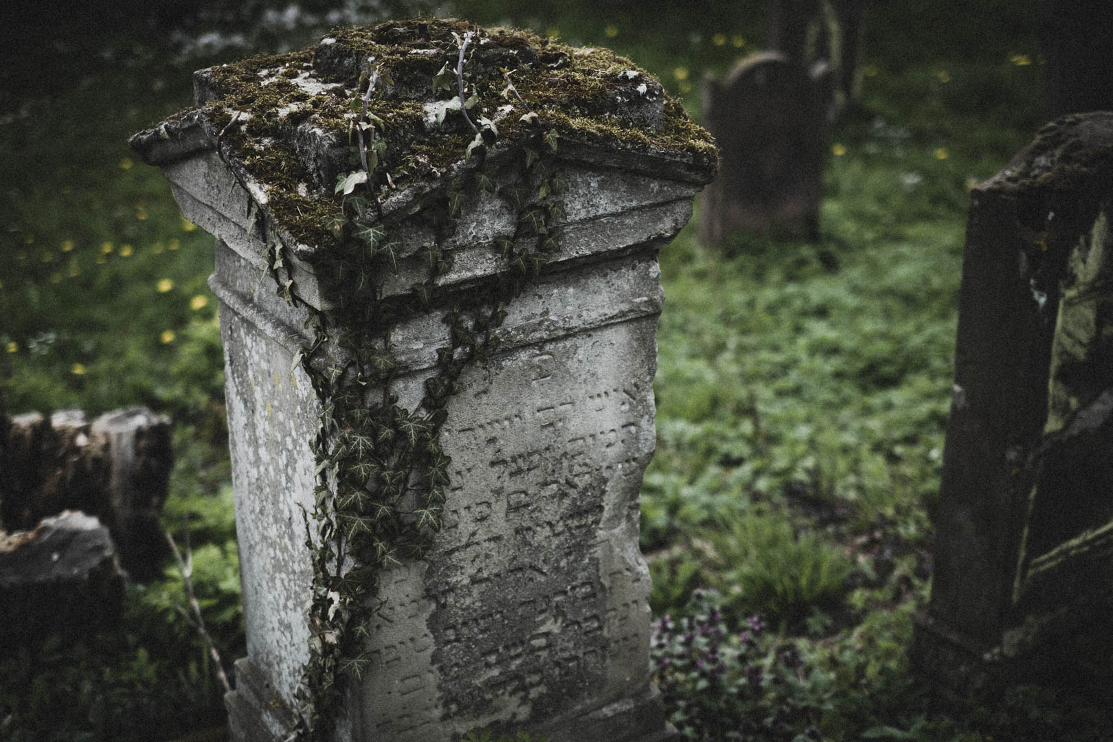 Borgholz, Jüdischer Friedhof